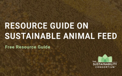 New Resource Guide Released on Sustainable Animal Feed, Helps Companies Navigate Environmental Impacts of Rising Demand for Animal Protein