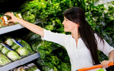 Sustainability commitments: Similarities and Differences between Retailers and Brand manufacturers