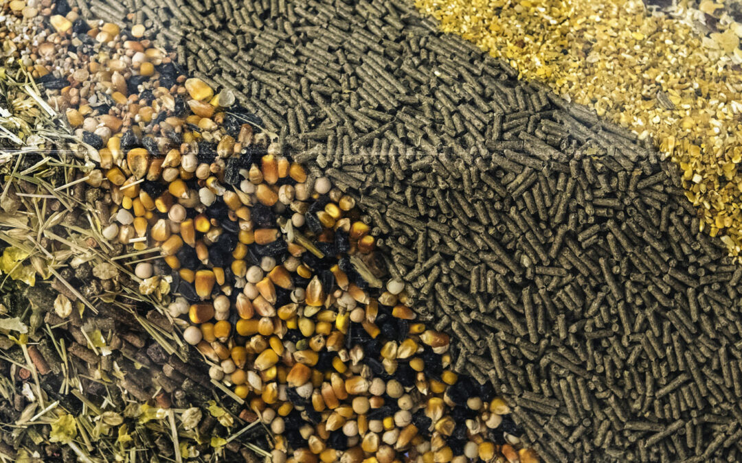 RESOURCE GUIDE ON SUSTAINABLE ANIMAL FEED | The Sustainability Consortium