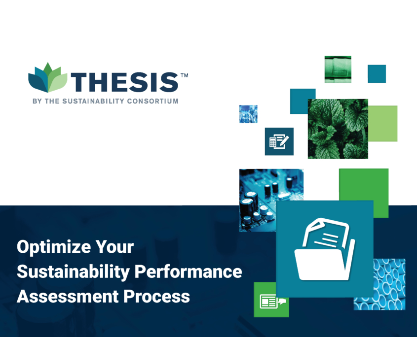 thesis sustainability consortium