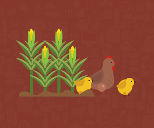 Food, Beverage and Agriculture