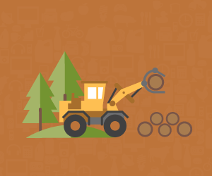 Paper, Pulp and Forestry