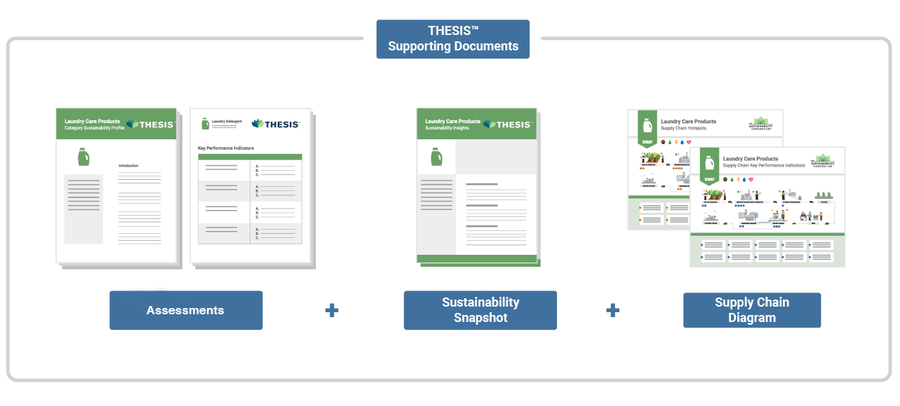 thesis sustainability consortium