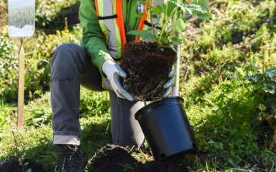 Amazon customers can now use their voice to plant trees around the world.