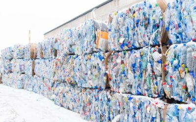 U.S. Plastics Pact Launches Postconsumer Recycled Content Toolkit To Build Momentum For Recycled Content In Plastic Packaging