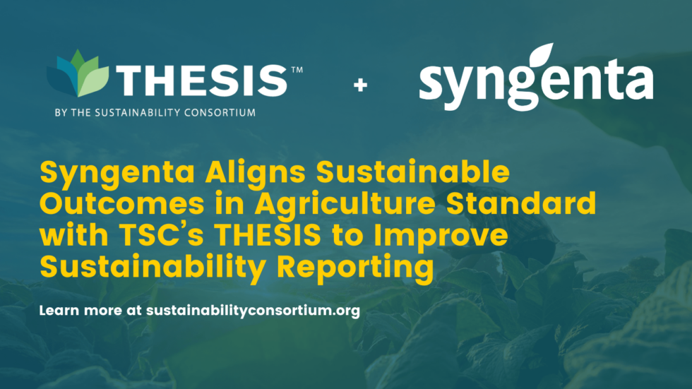 thesis sustainability consortium