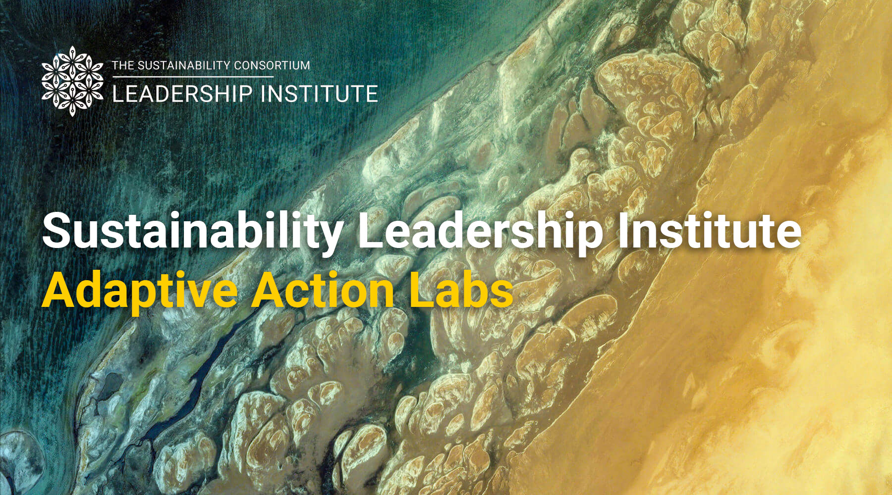 SLI-Adaptive-Action-Lab-1 (2)