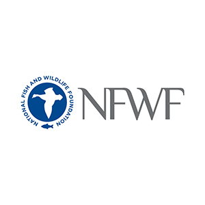 National Fish and Wildlife Foundation