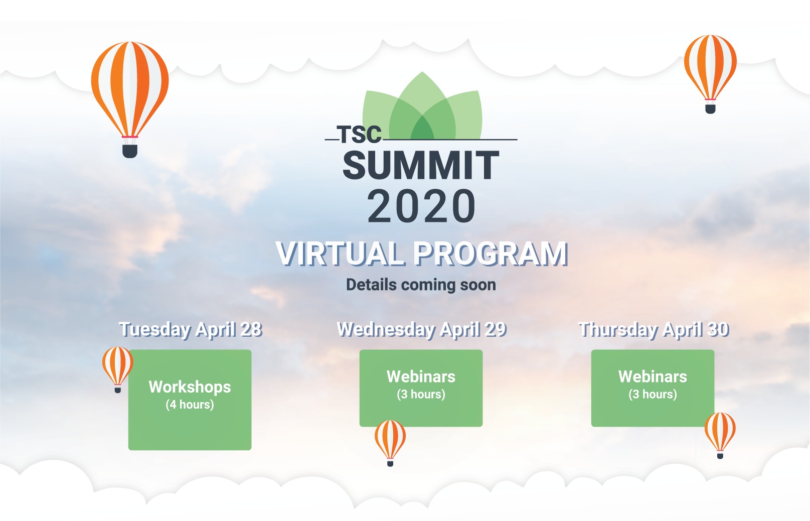 Virtual-Program-Summit-2020 (2)